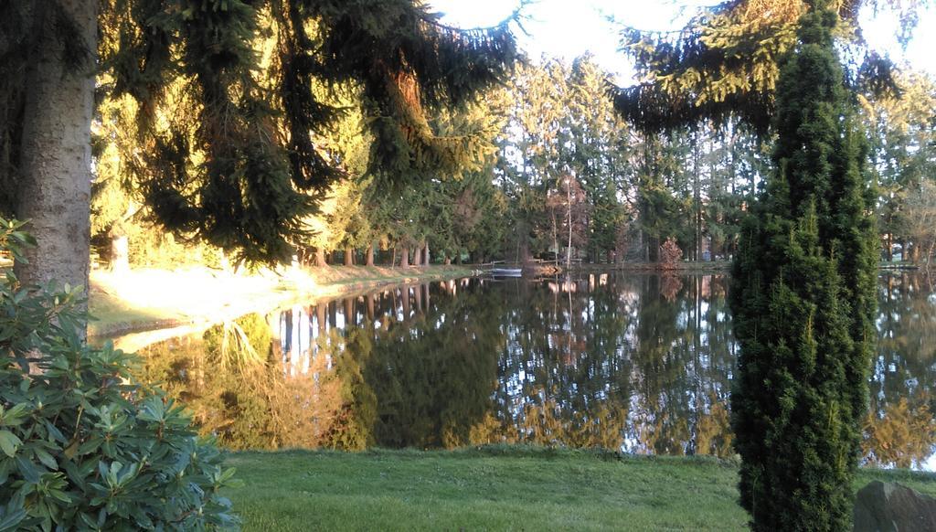Hotel Steineweiher St. Vith ภายนอก รูปภาพ